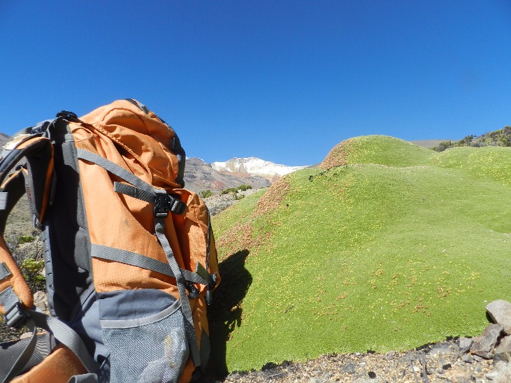 Cume Nevado Barroso - Imagen 4