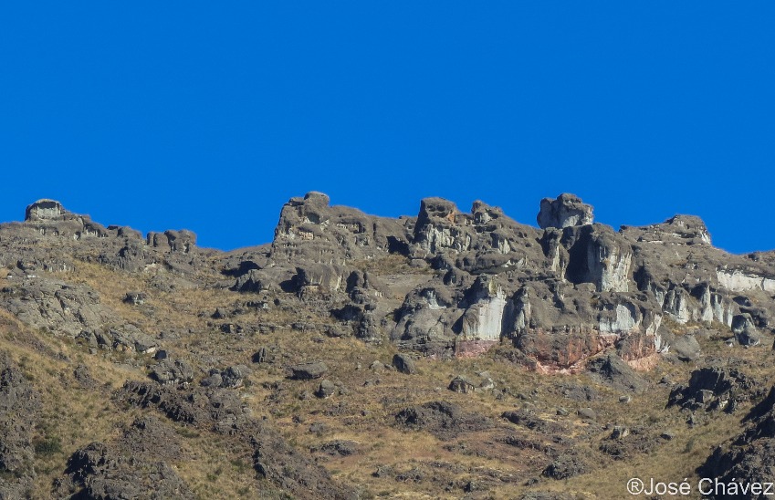 Floresta de Puyas Maquerhua - Imagen 2