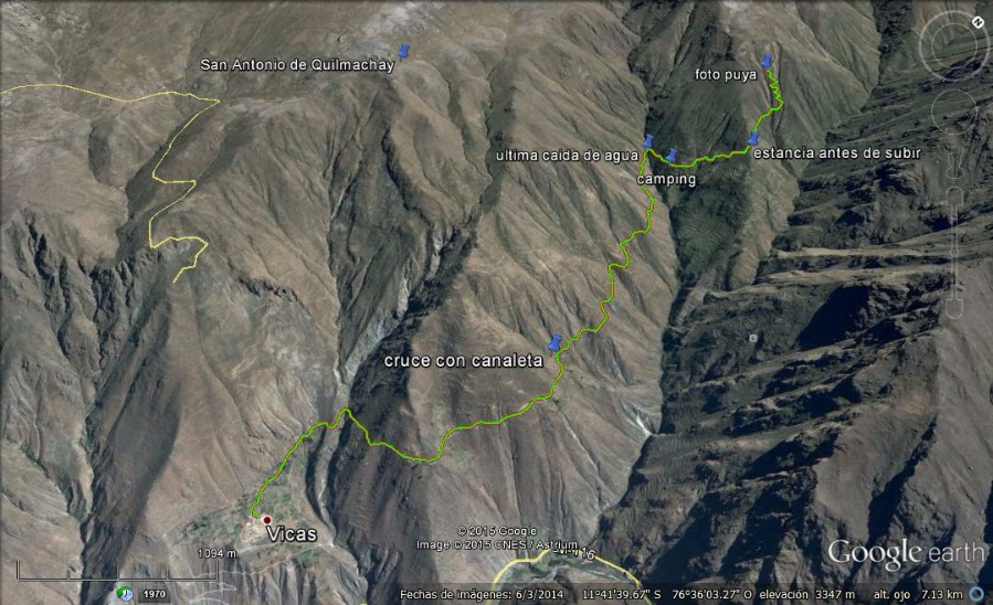 Floresta de Puyas Maquerhua - Imagen 4