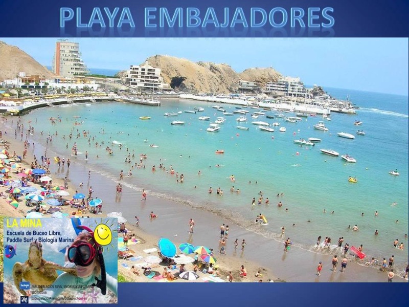 Mergulho livre - Imagen 4