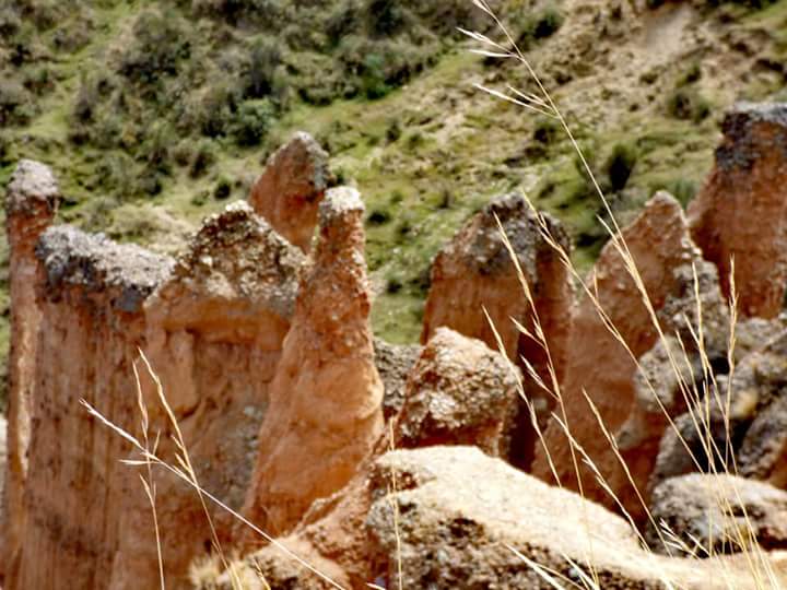 Torre Torre - Imagen 16