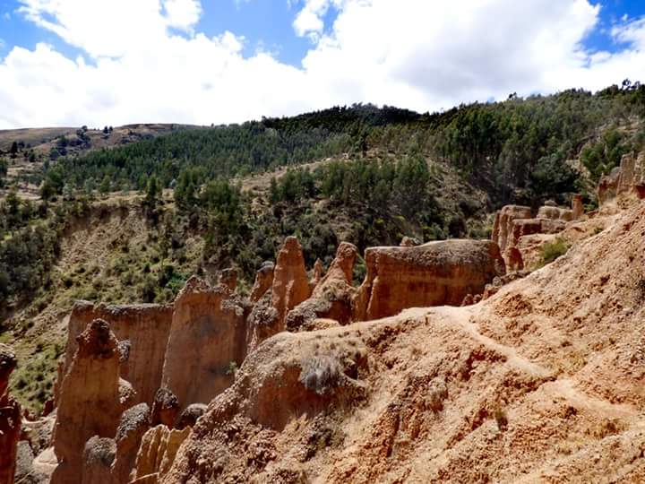 Torre Torre - Imagen 25