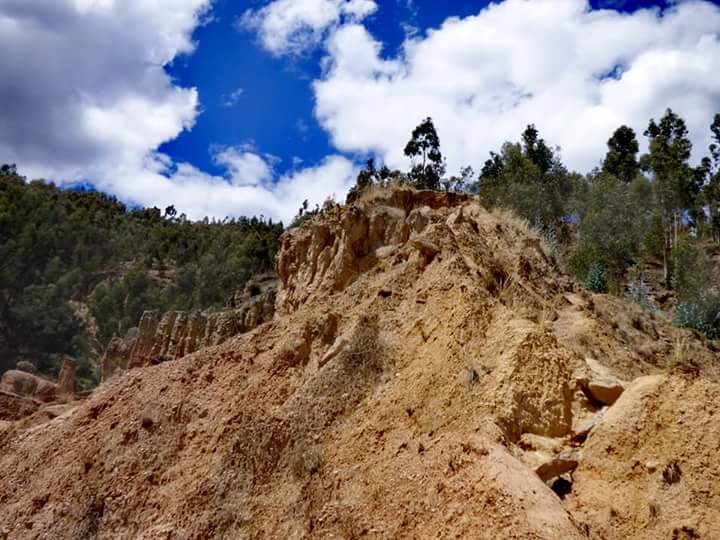 Torre Torre - Imagen 27