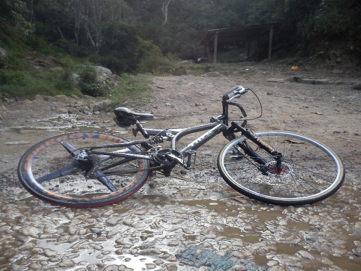 MOYOBAMBA PARA TARAPOTO - Imagen 10