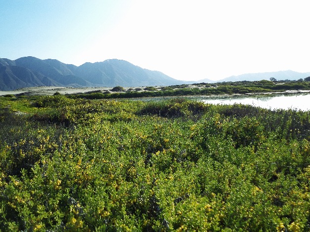 Em direção à Lagoa de San Diego - Imagen 5