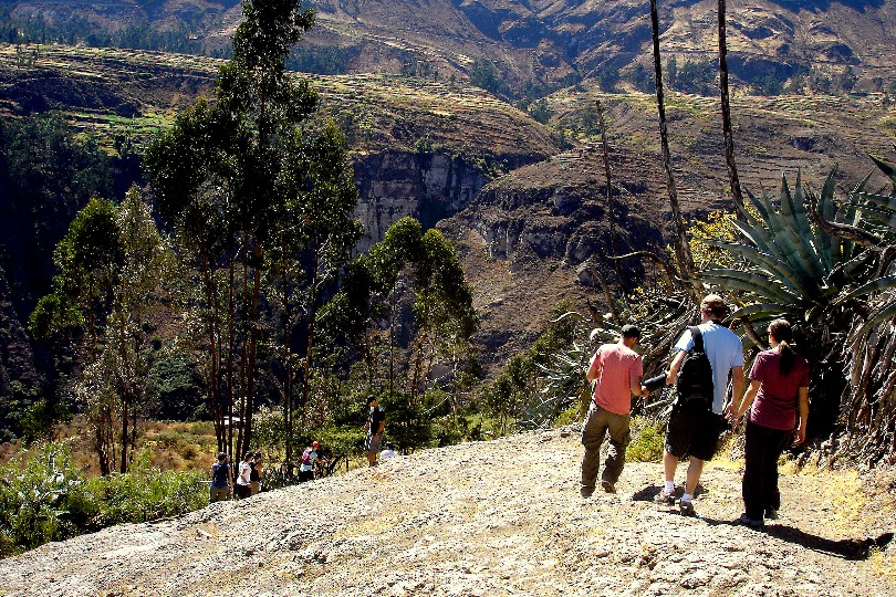 Vale alto do rio Lurin - Imagen 9