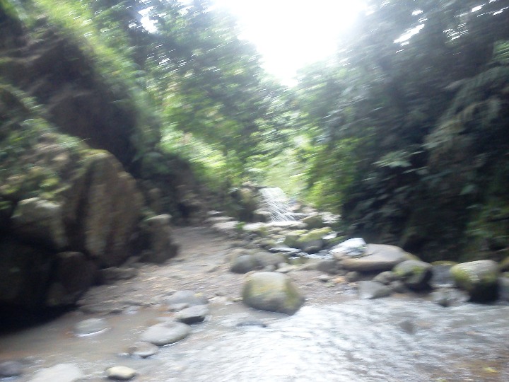 MOYOBAMBA PARA TARAPOTO - Imagen 14