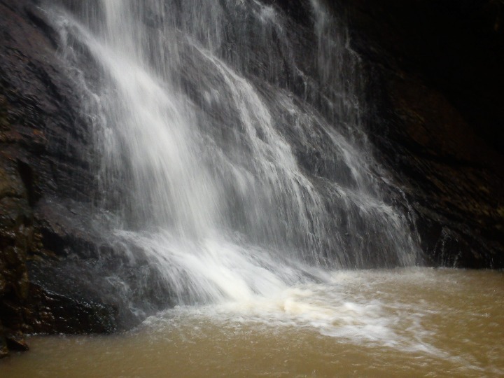 MOYOBAMBA PARA TARAPOTO - Imagen 15