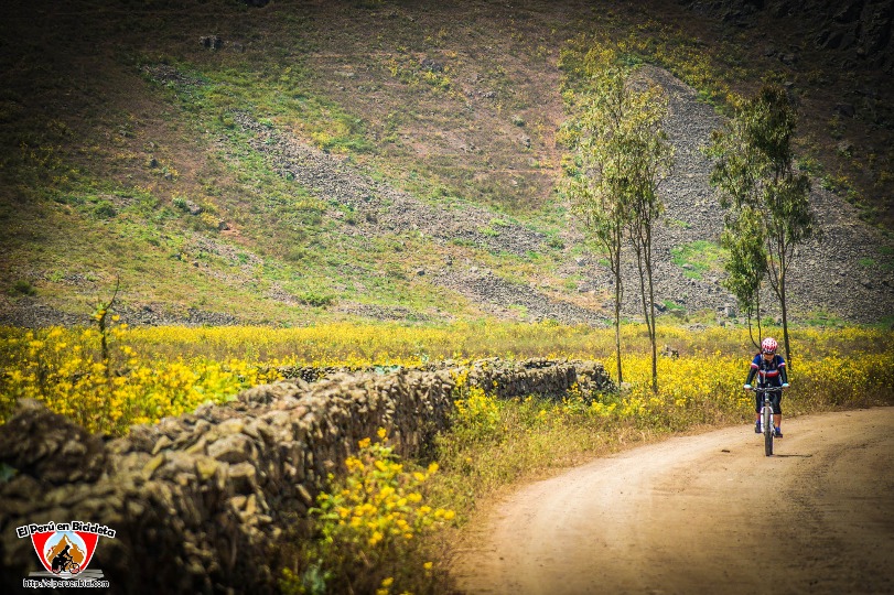 Explorando a imensidão do horizonte - Imagen 15