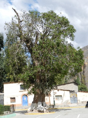 Trilhas em COTAHUASI - Imagen 5