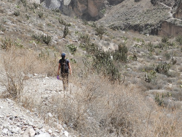 CANHÃO DE COTAHUASI - Imagen 7