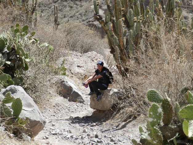 CANHÃO DE COTAHUASI - Imagen 5