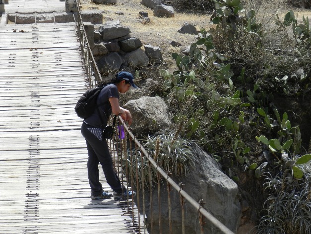 CANHÃO DE COTAHUASI - Imagen 9