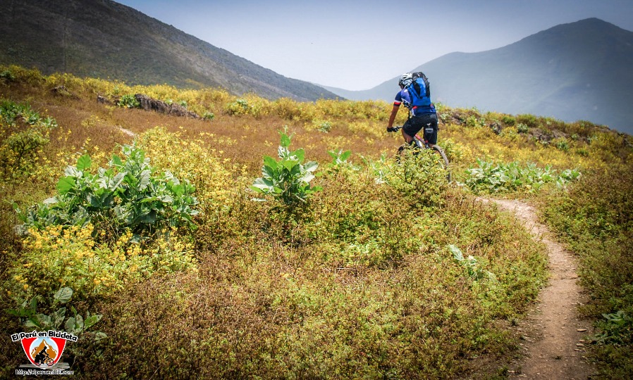 Explorando a imensidão do horizonte - Imagen 17