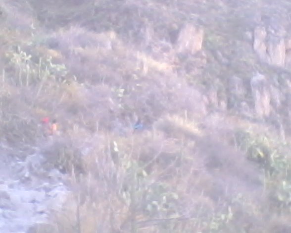 CANHÃO DO COLCA - Imagen 6