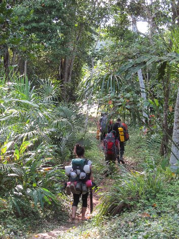 Nevado Alpamayo

Alpamayo: Aventura nas Alturas do Peru