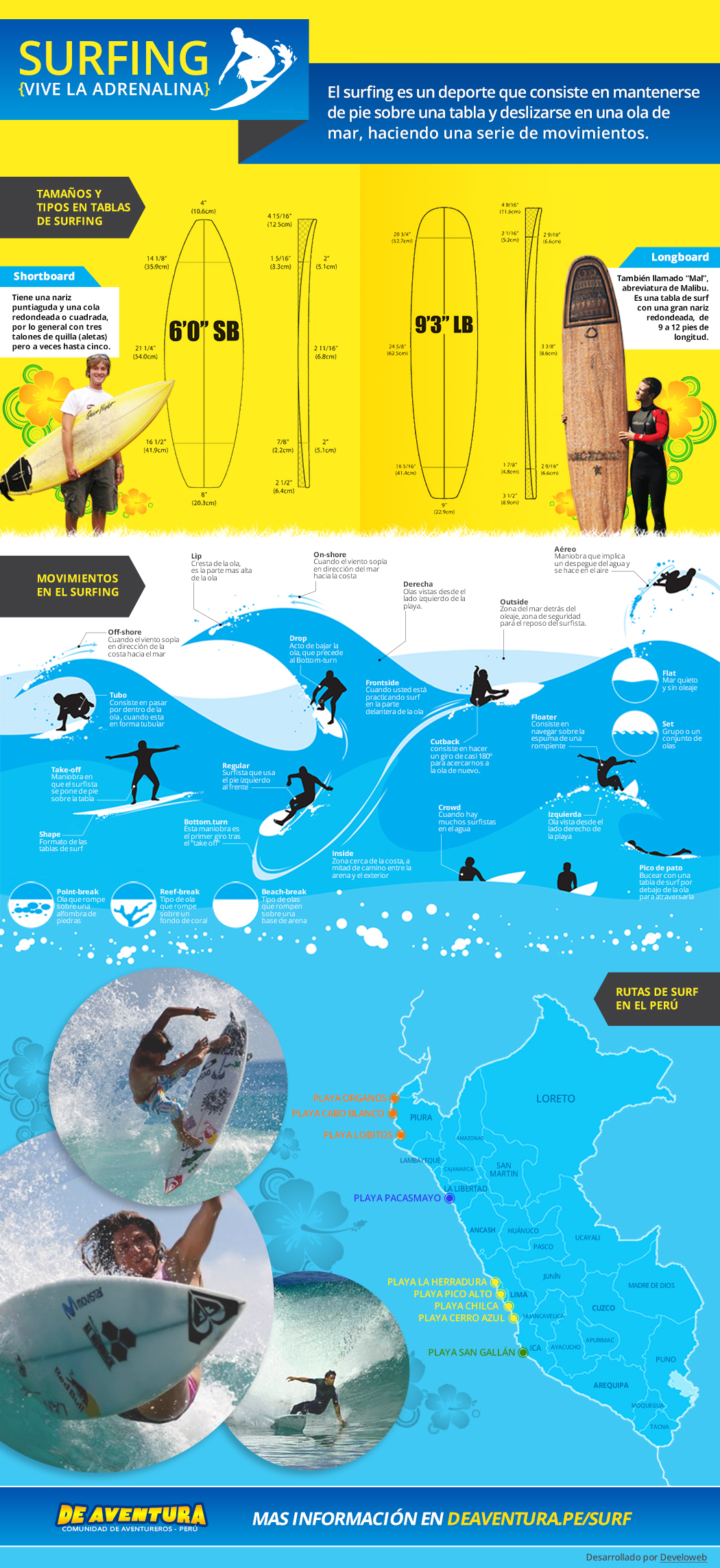 Infográfico de Surf: Tipos de Pranchas, Movimentos e Rotas.