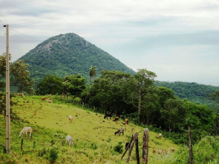 Monte San José