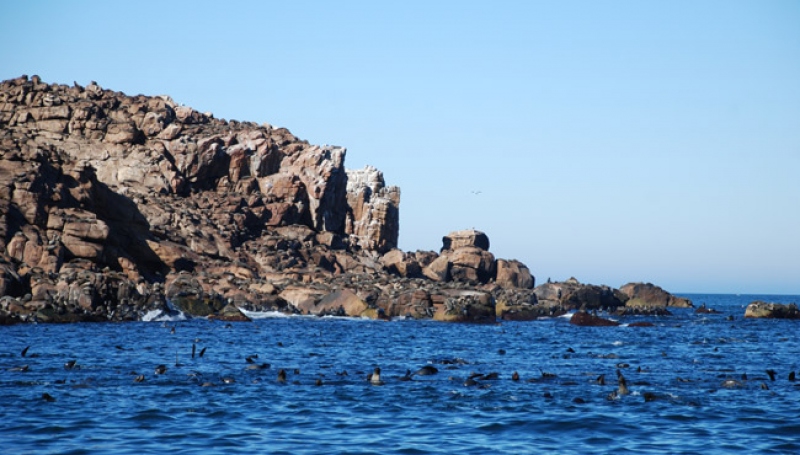Ilha Lobos de Terra