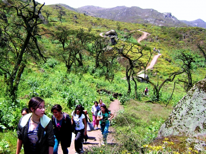 Foto 3 de Lomas de Lachay en Huaura, Lima - De Aventura