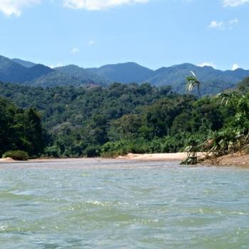 Rio Tambopata