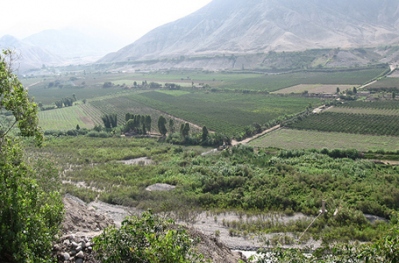 Ciclismo nos Platanales de Totoritas