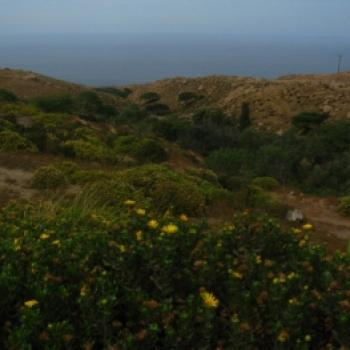 Ciclismo nas Lomas de Atiquipa