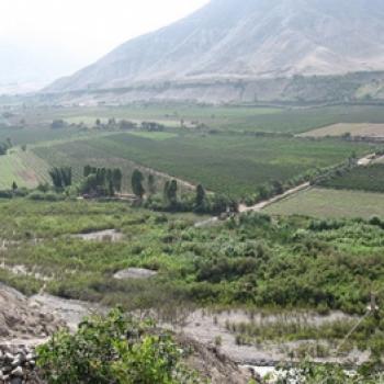 Ciclismo nos Platanales de Totoritas