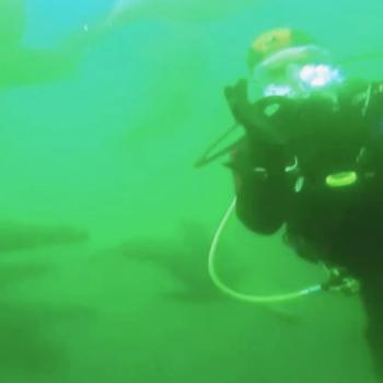 Mergulho nas Ilhas Palomino